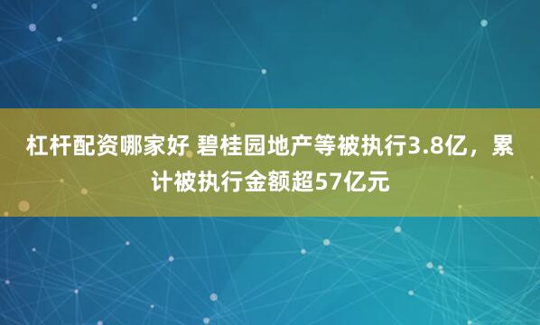 杠杆配资哪家好 碧桂园地产等被执行3.8亿，累计被执行金额超57亿元