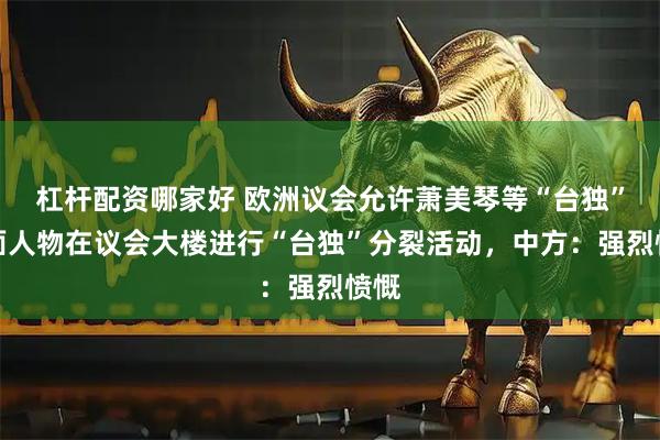 杠杆配资哪家好 欧洲议会允许萧美琴等“台独”头面人物在议会大楼进行“台独”分裂活动，中方：强烈愤慨