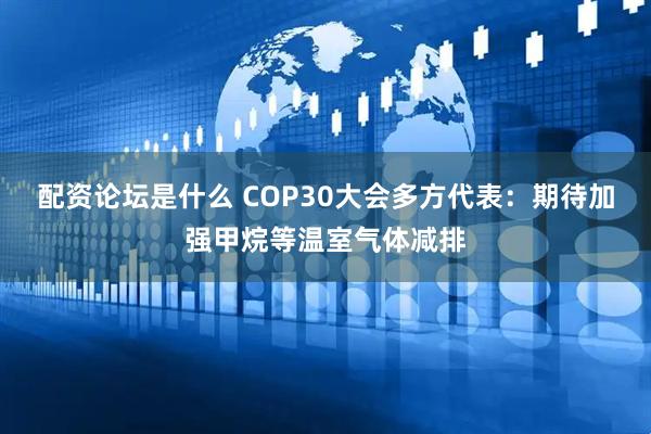 配资论坛是什么 COP30大会多方代表：期待加强甲烷等温室气体减排