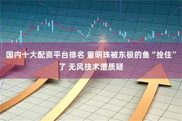 国内十大配资平台排名 董明珠被东极的鱼“拴住”了 无风技术遭质疑